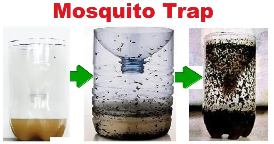 un método sencillo para construir una trampa para mosquitos