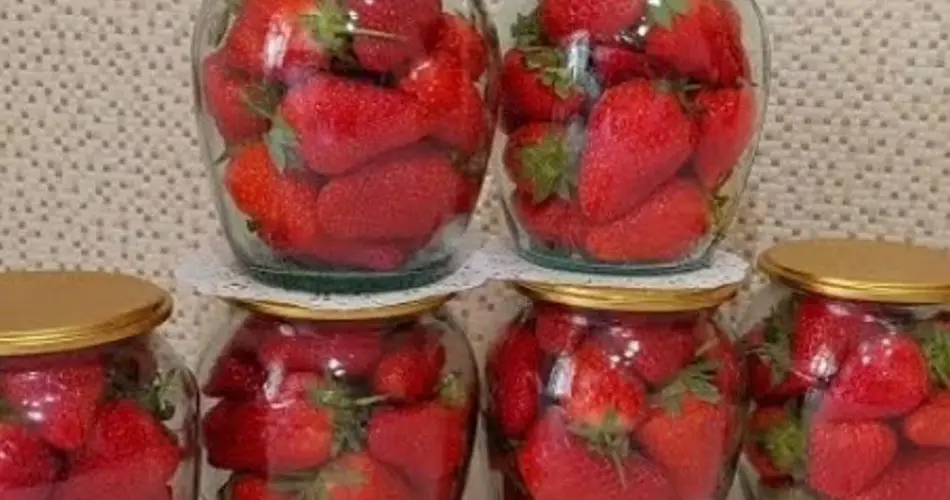 Almacene las fresas durante un año: ¡Sin congelar, SIN cocinar!