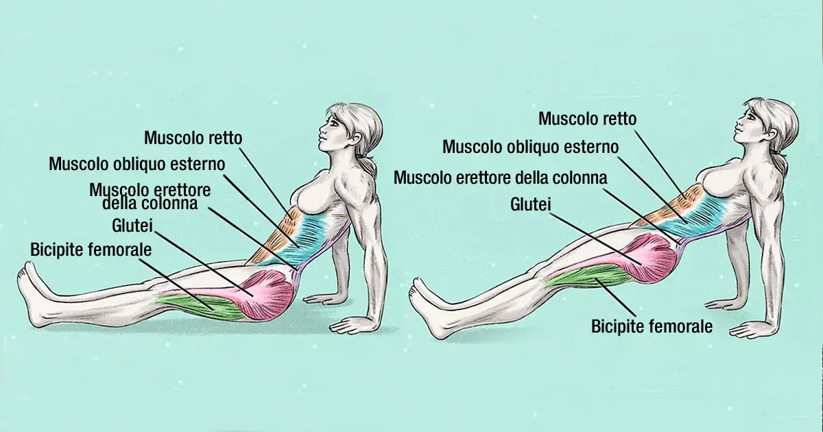 El ejercicio que quema grasa abdominal y mejora la postura: 10 minutos al día