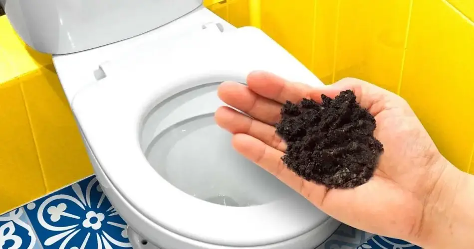 Eliminar el olor a orina en el baño y dejar un buen aroma: 6 consejos infalibles