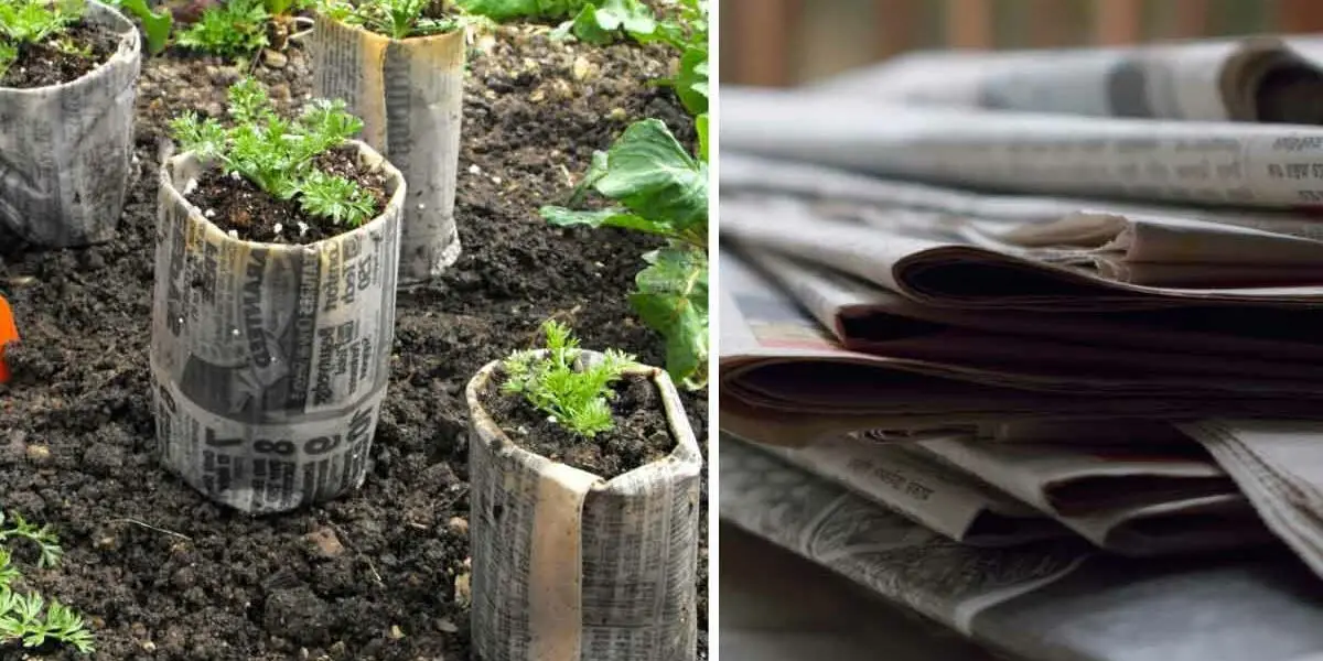 Cuida el jardín con periódico con 4 consejos sencillos y eficaces