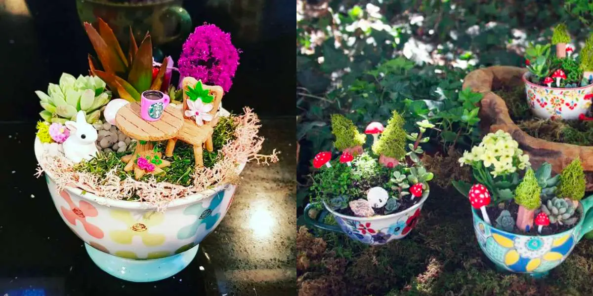 17 ideas de mini jardín en una taza