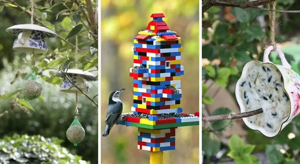 Maravillosos comederos para pájaros para hacer con niños