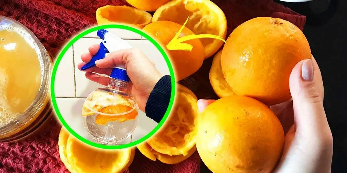 ¡Una naranja es suficiente para perfumar tu hogar todo el día!