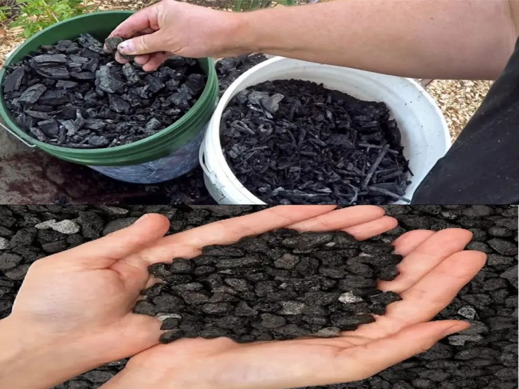 Ha conquistado a millones de agricultores, produce plantas enormes: espárcelas en el suelo.