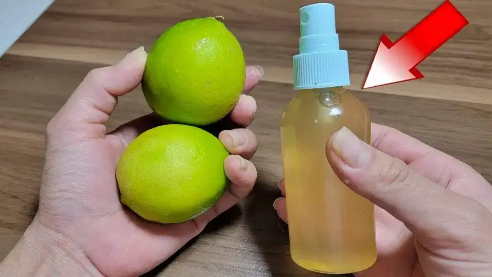 Cucarachas, moscas y hormigas desaparecerán con este poderoso remedio natural