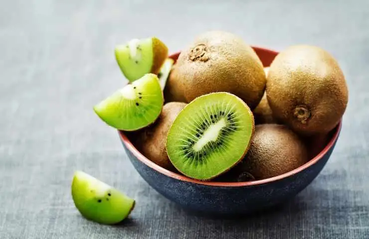 Kiwi, cómo hacer crecer árboles jóvenes en tu casa: es súper fácil | la guía paso a paso