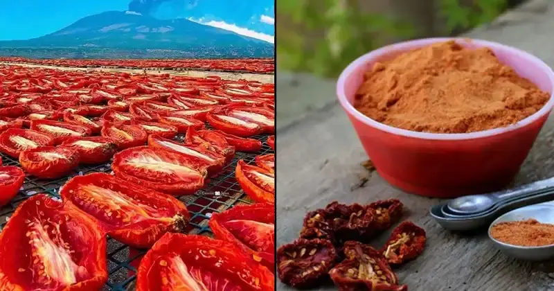 No dejes que tus tomates se desperdicien: ¡conviértelos en un sabroso tomate en polvo!