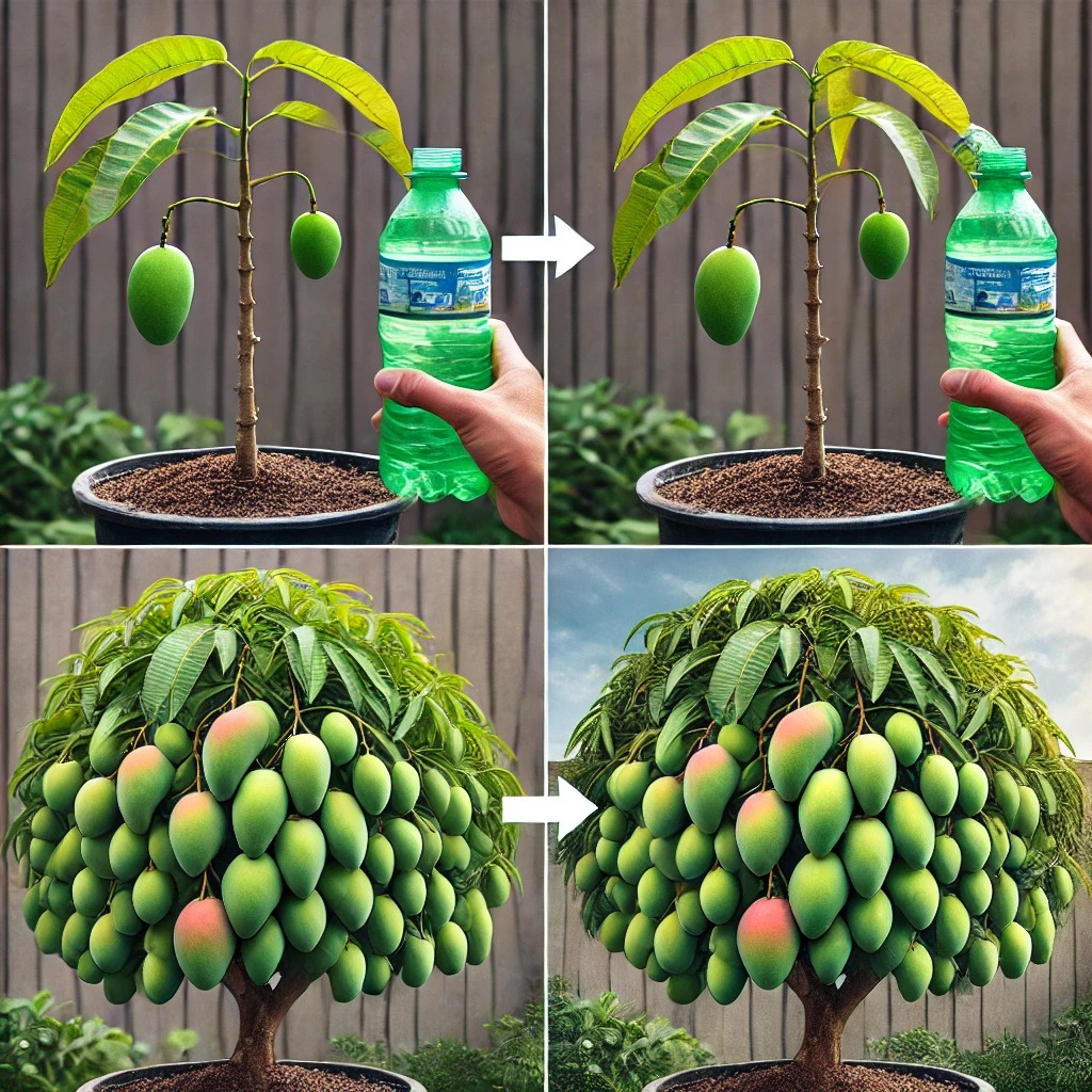 ¿Cómo hacer brotar un simple hueso de mango en una planta majestuosa?