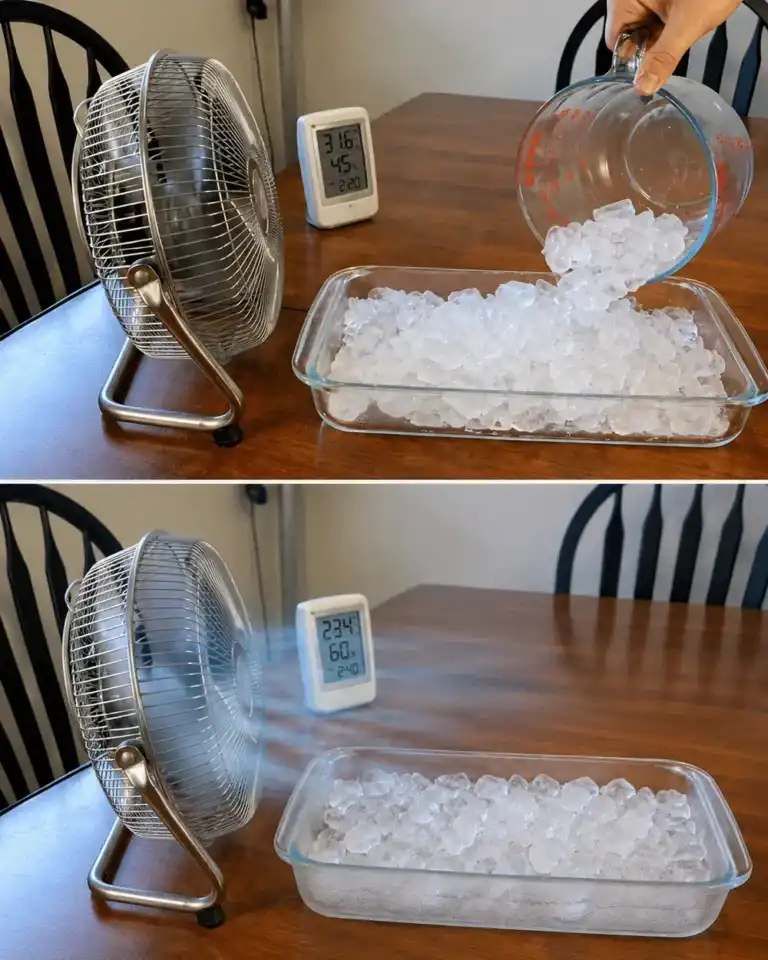 El método casero que muchos utilizan para refrescar una habitación en pocos minutos