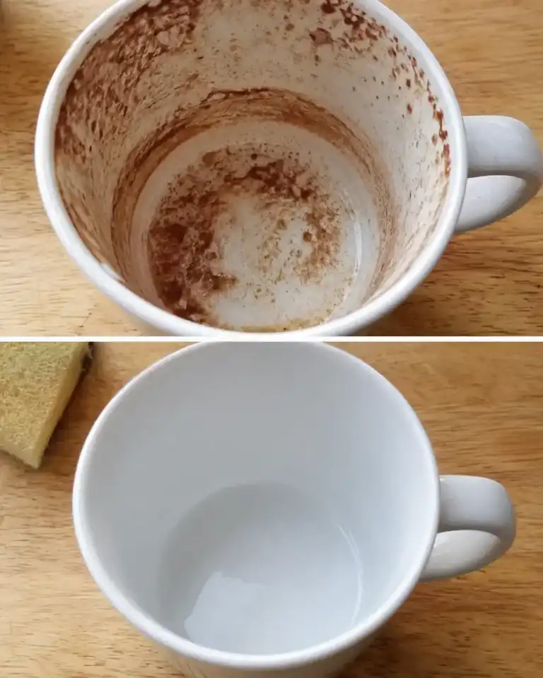 El truco para eliminar las manchas de cacao de las tazas sin dejar rastro