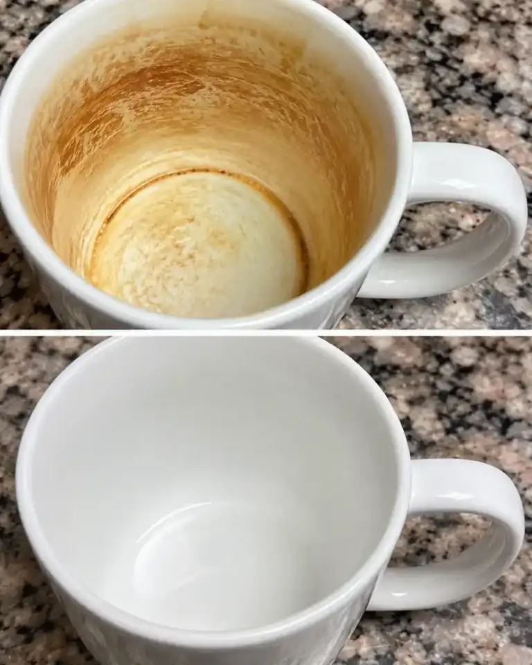 El truco para eliminar las manchas de café de las tazas y devolverles su blanco original