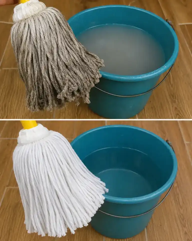 No tires tu fregona vieja: este sencillo ingrediente puede devolverle su aspecto original