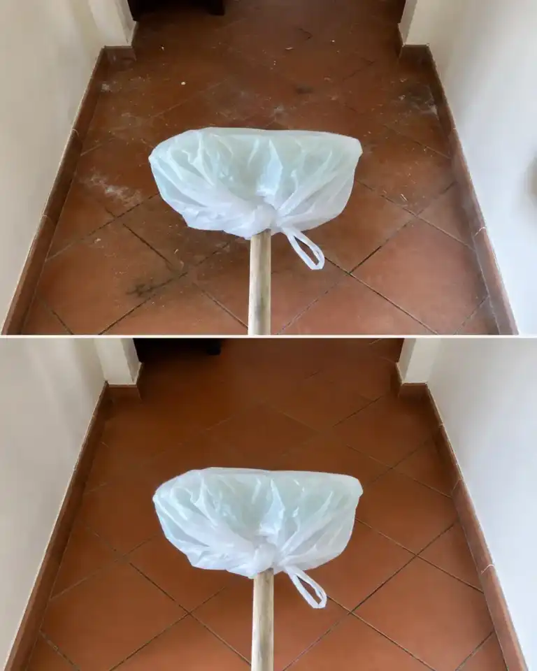 Solo necesitas una bolsa de plástico para recoger el pelo del suelo mucho más rápido