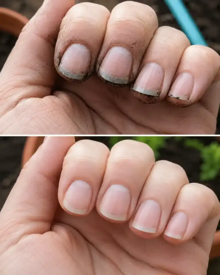 ¿Uñas negras después de cuidar el jardín? Este sencillo truco puede evitarlo